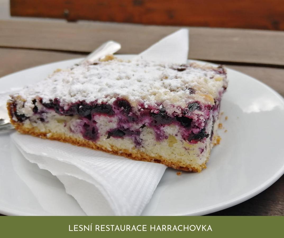 Lesni Restaurace Harrachovka Hotell Tábor Eksteriør bilde